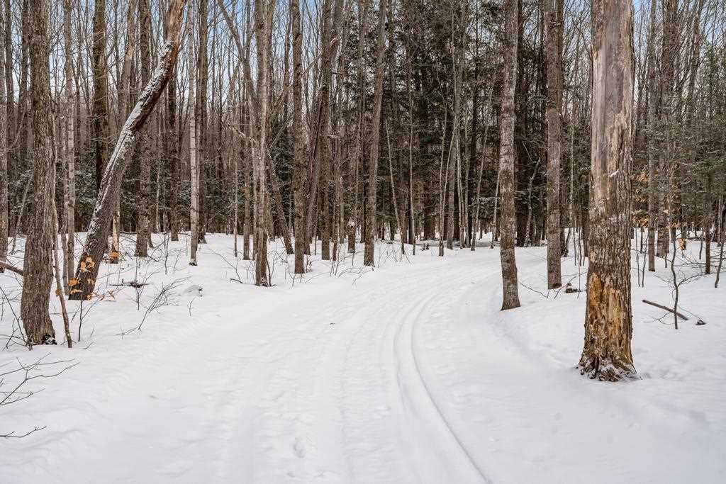 Wildwood Road Petoskey MI 49770