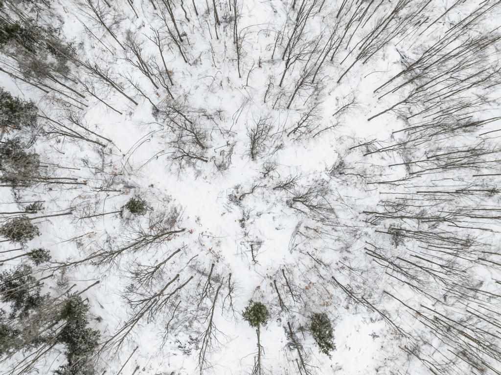 Wildwood Road Petoskey MI 49770