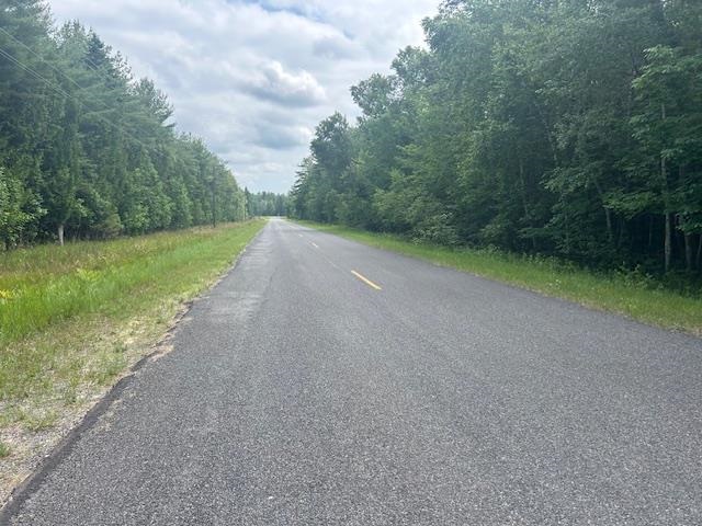 Tbd Elder Road Carp Lake MI 49718