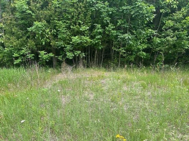 Tbd Elder Road Carp Lake MI 49718