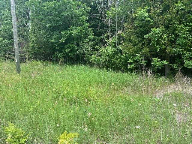 Tbd Elder Road Carp Lake MI 49718