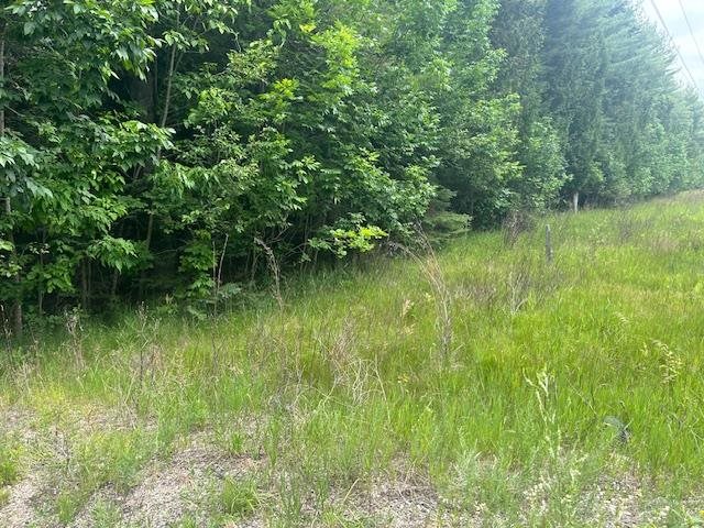 Tbd Elder Road Carp Lake MI 49718