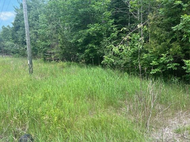 Tbd Elder Road Carp Lake MI 49718