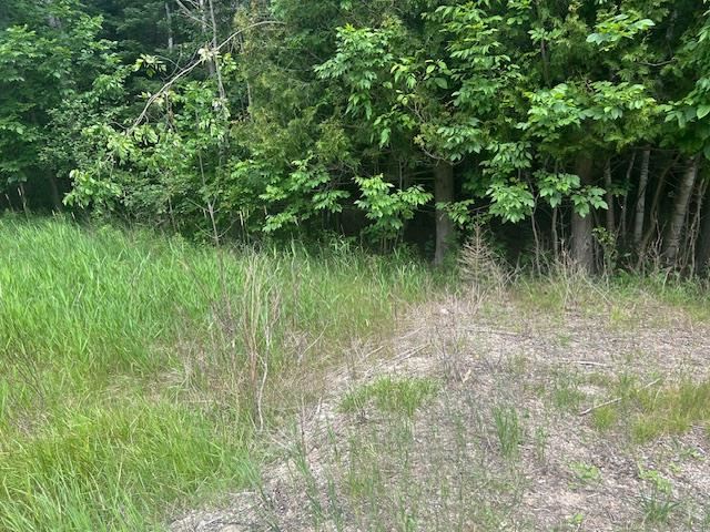 Tbd Elder Road Carp Lake MI 49718