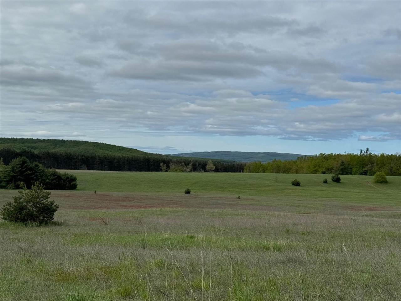 Tbd Nichols Road Pellston MI 49769