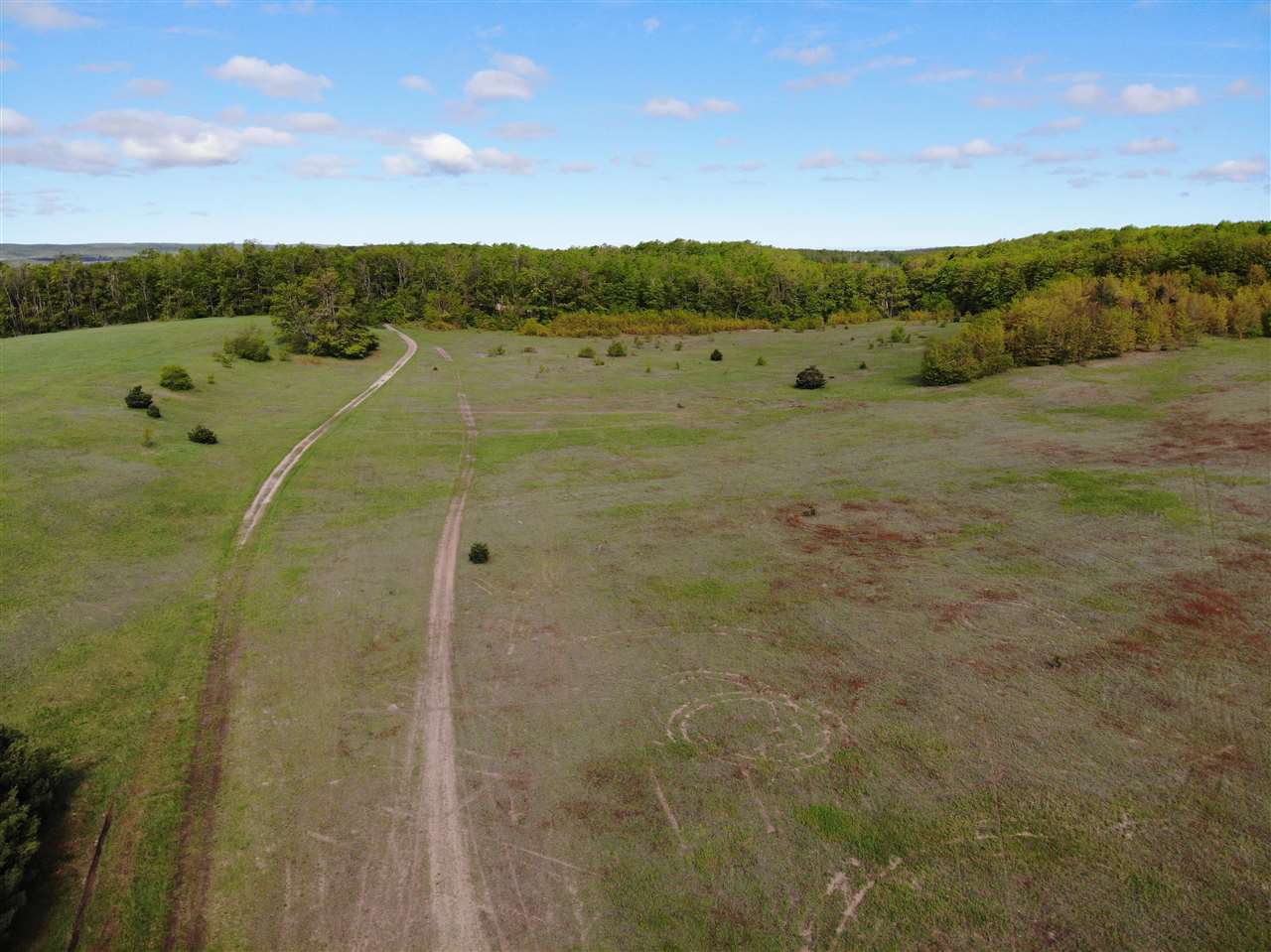 Tbd Nichols Road Pellston MI 49769