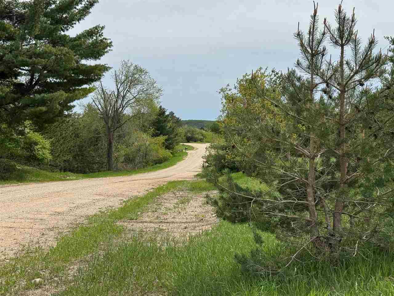 Tbd Nichols Road Pellston MI 49769