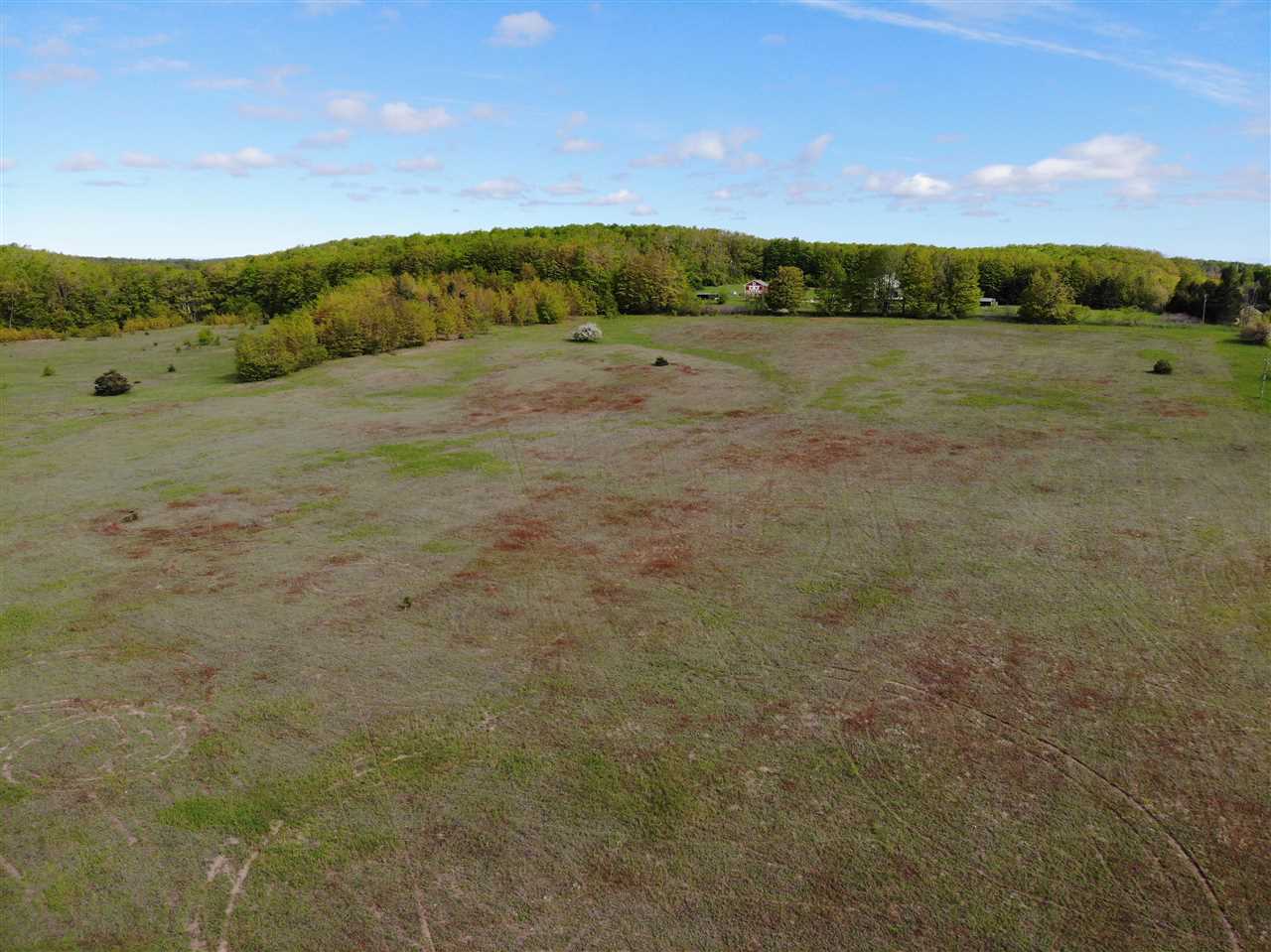 Tbd Nichols Road Pellston MI 49769