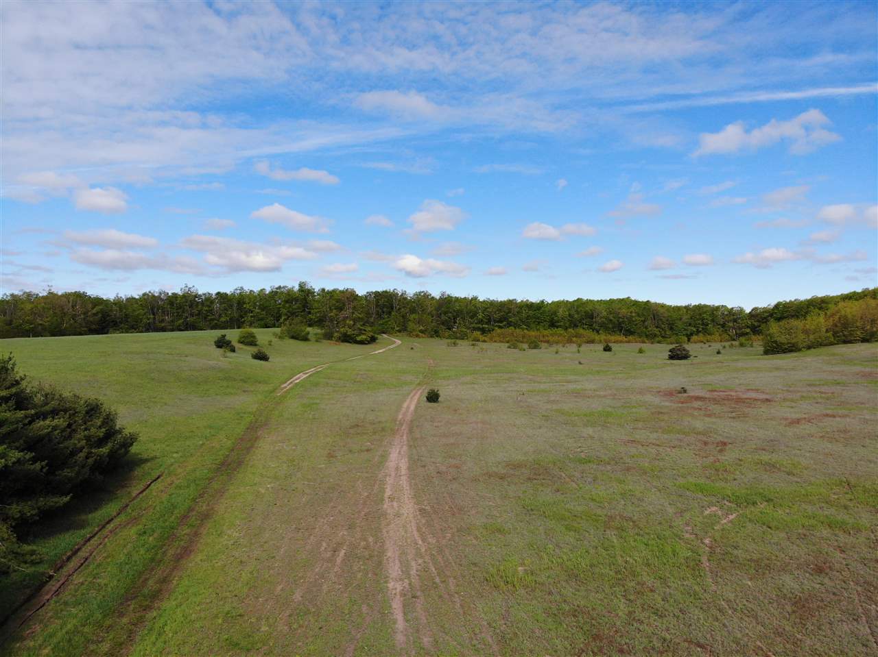 Tbd Nichols Road Pellston MI 49769