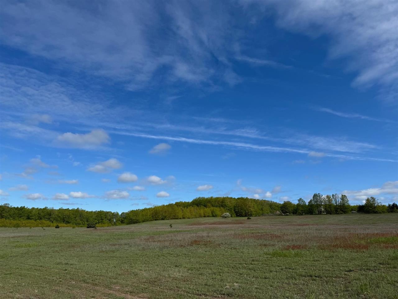 Tbd Nichols Road Pellston MI 49769