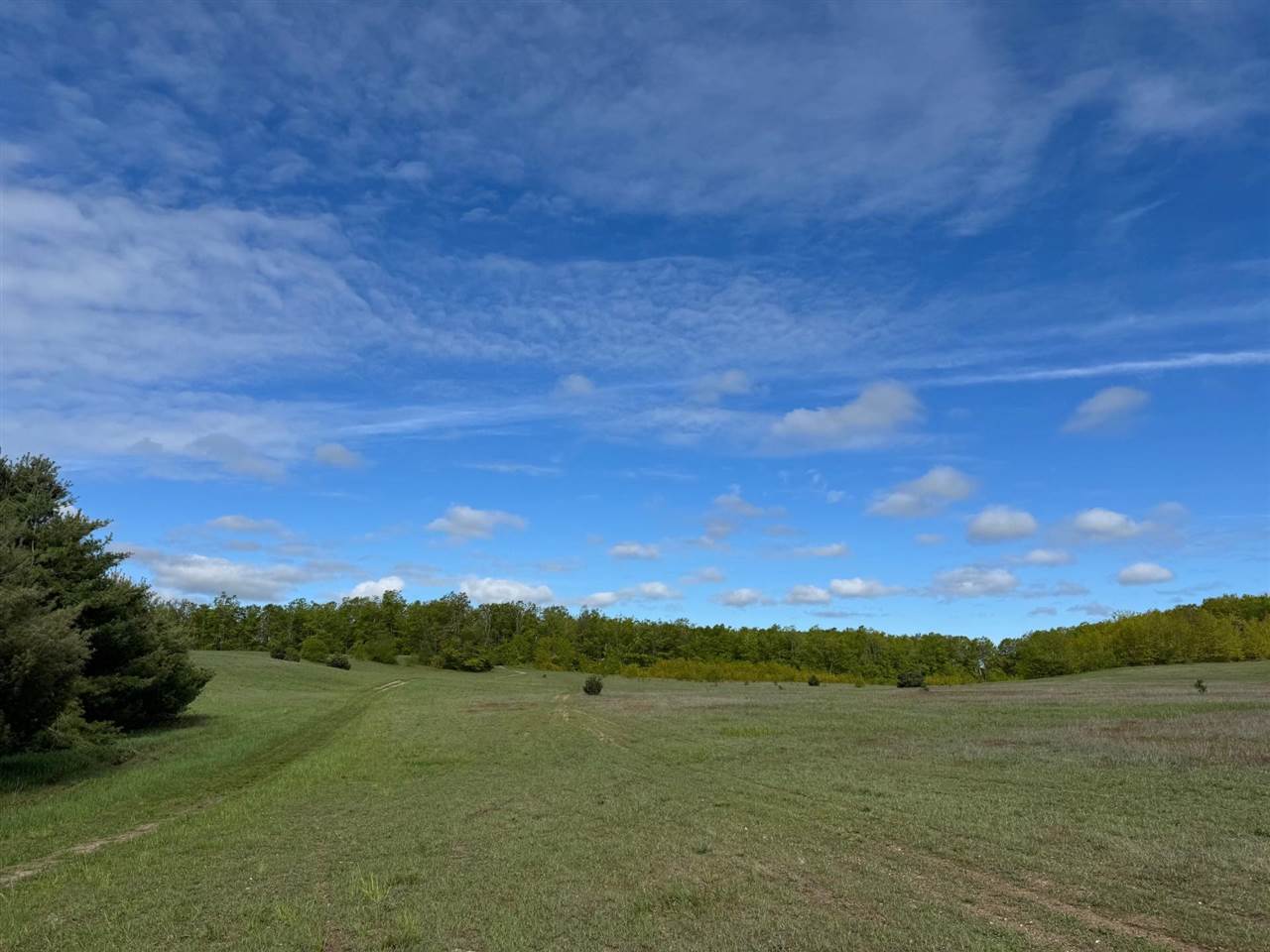 Tbd Nichols Road Pellston MI 49769