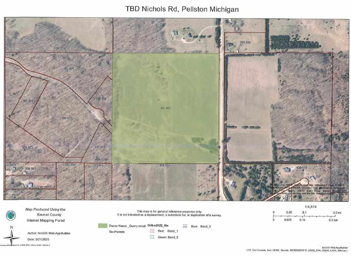 Tbd Nichols Road Pellston MI 49769