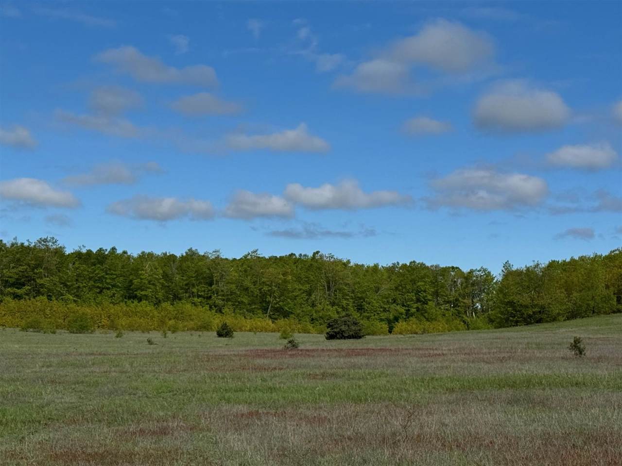 Tbd Nichols Road Pellston MI 49769