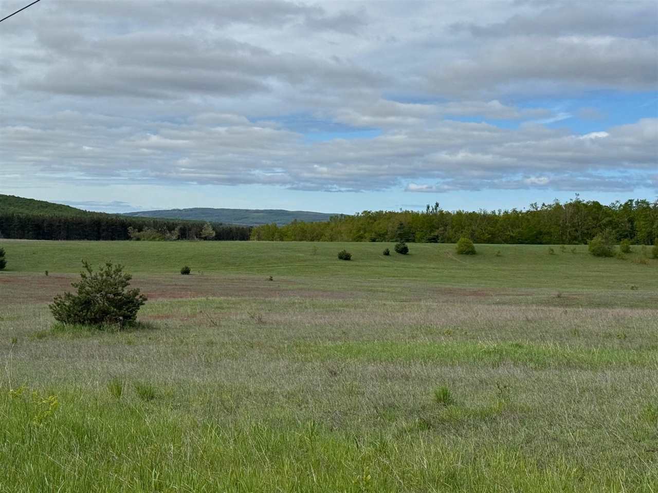 Tbd Nichols Road Pellston MI 49769