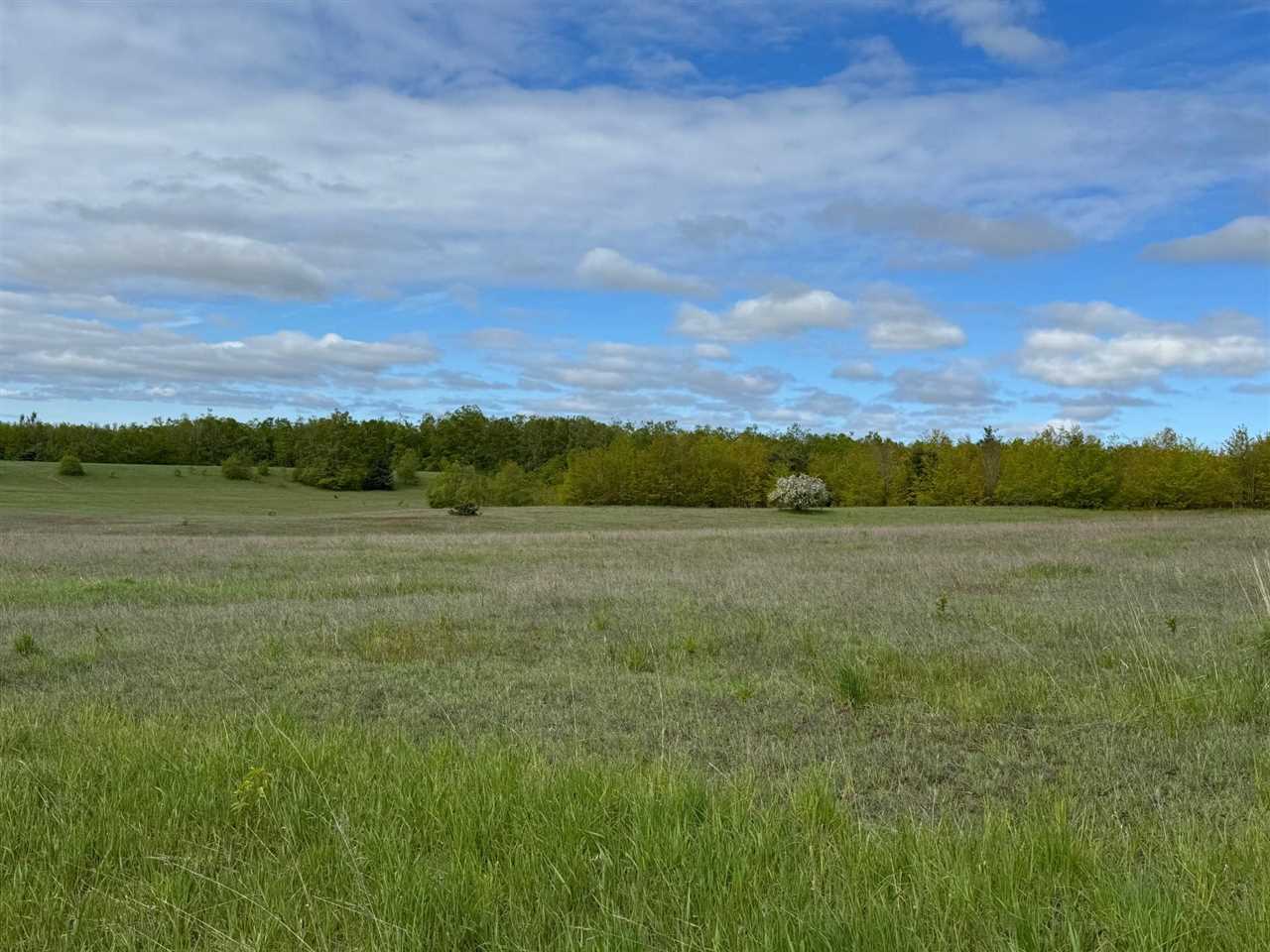 Tbd Nichols Road Pellston MI 49769