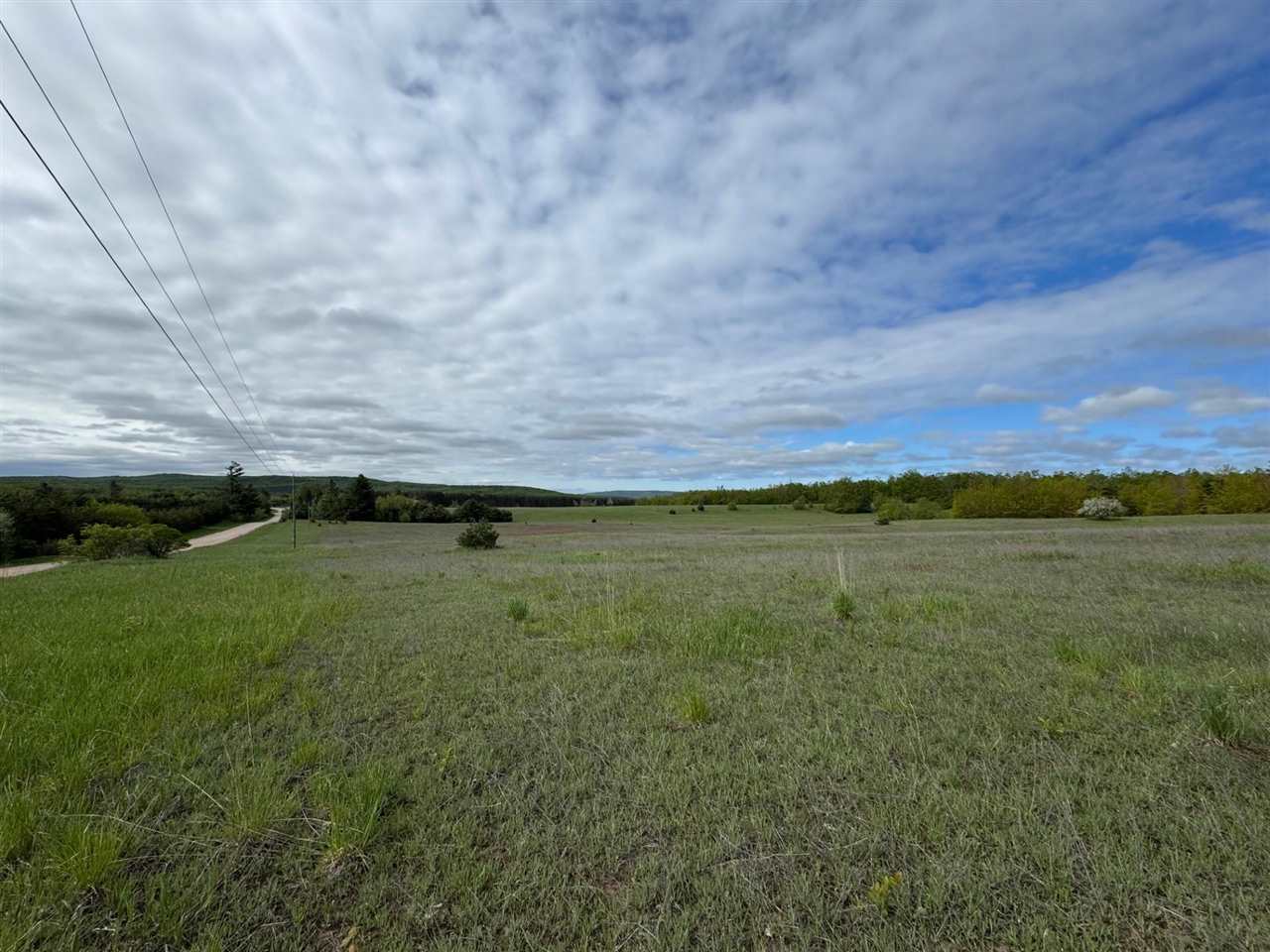 Tbd Nichols Road Pellston MI 49769