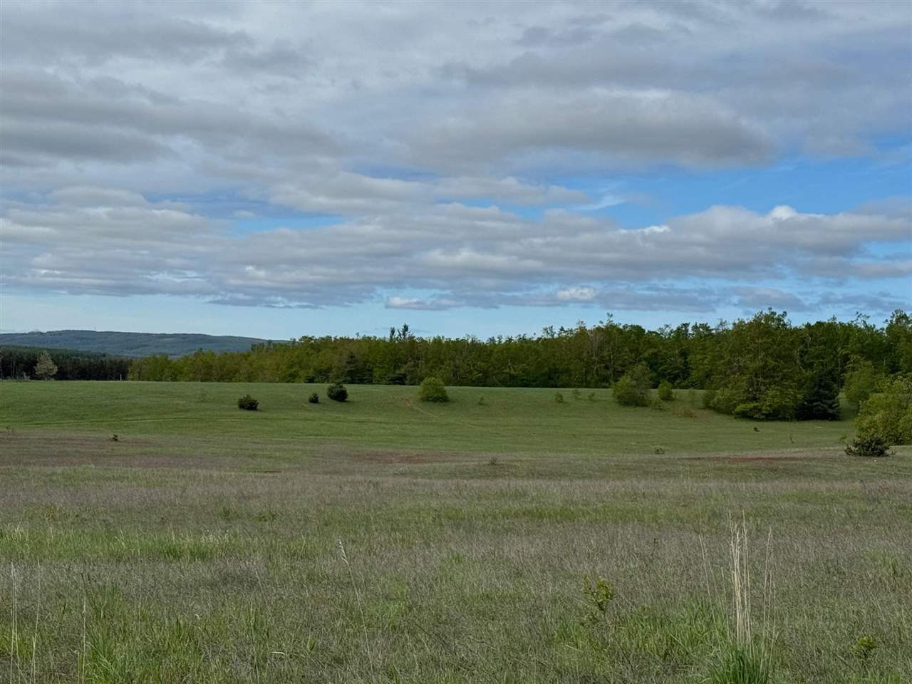 Tbd Nichols Road Pellston MI 49769