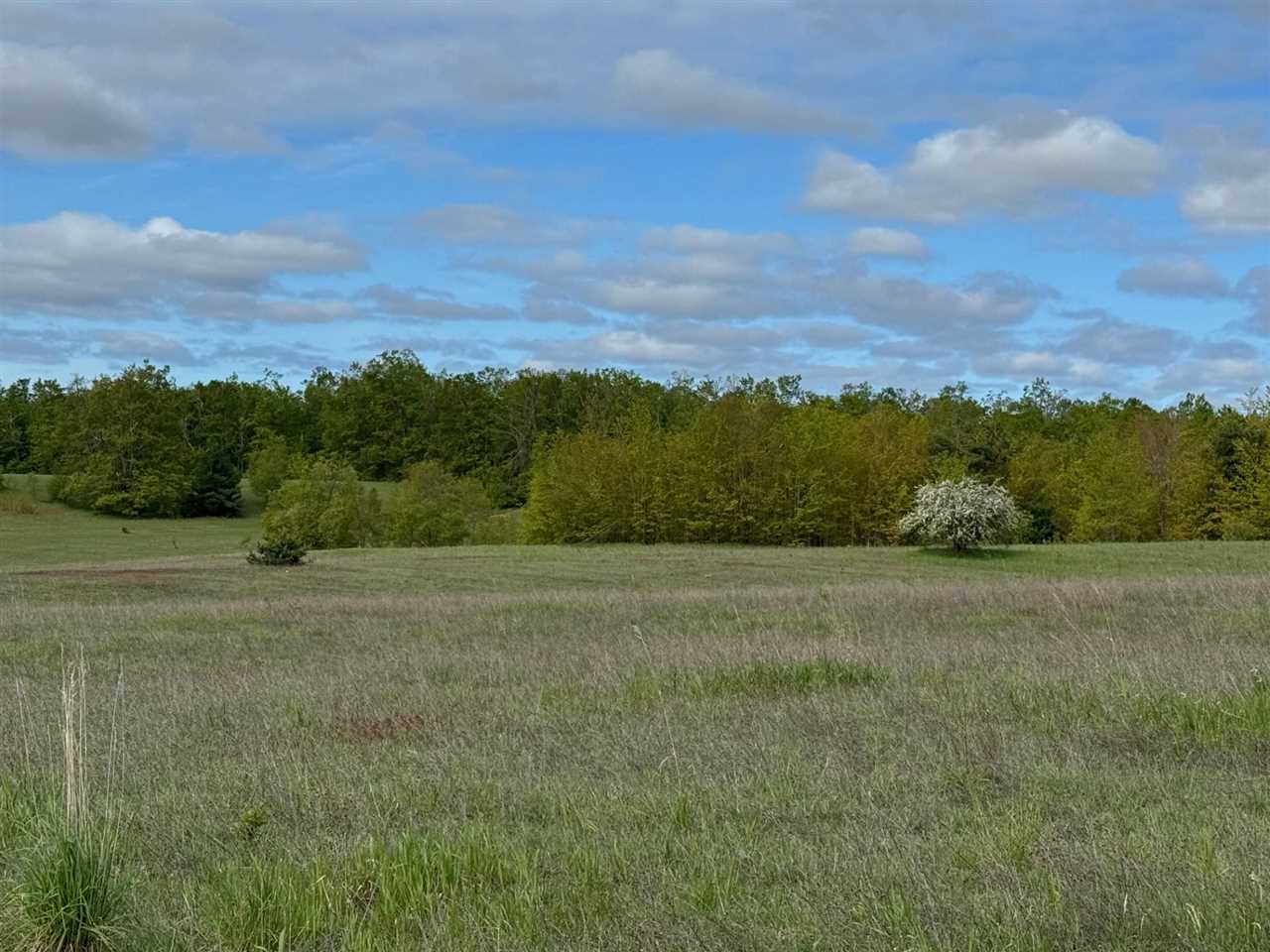 Tbd Nichols Road Pellston MI 49769