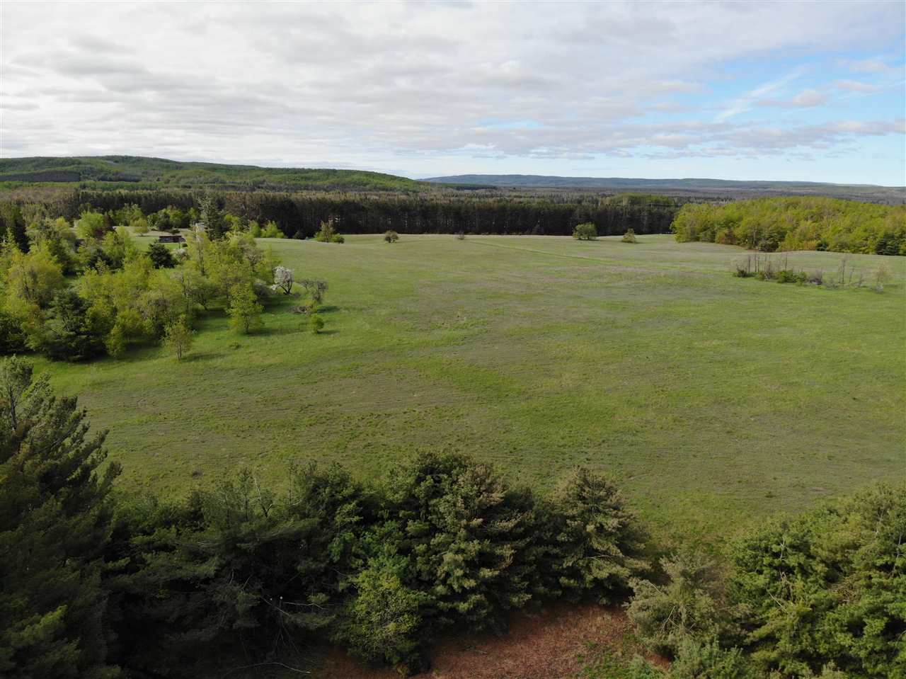 Tbd Nichols Road Pellston MI 49769