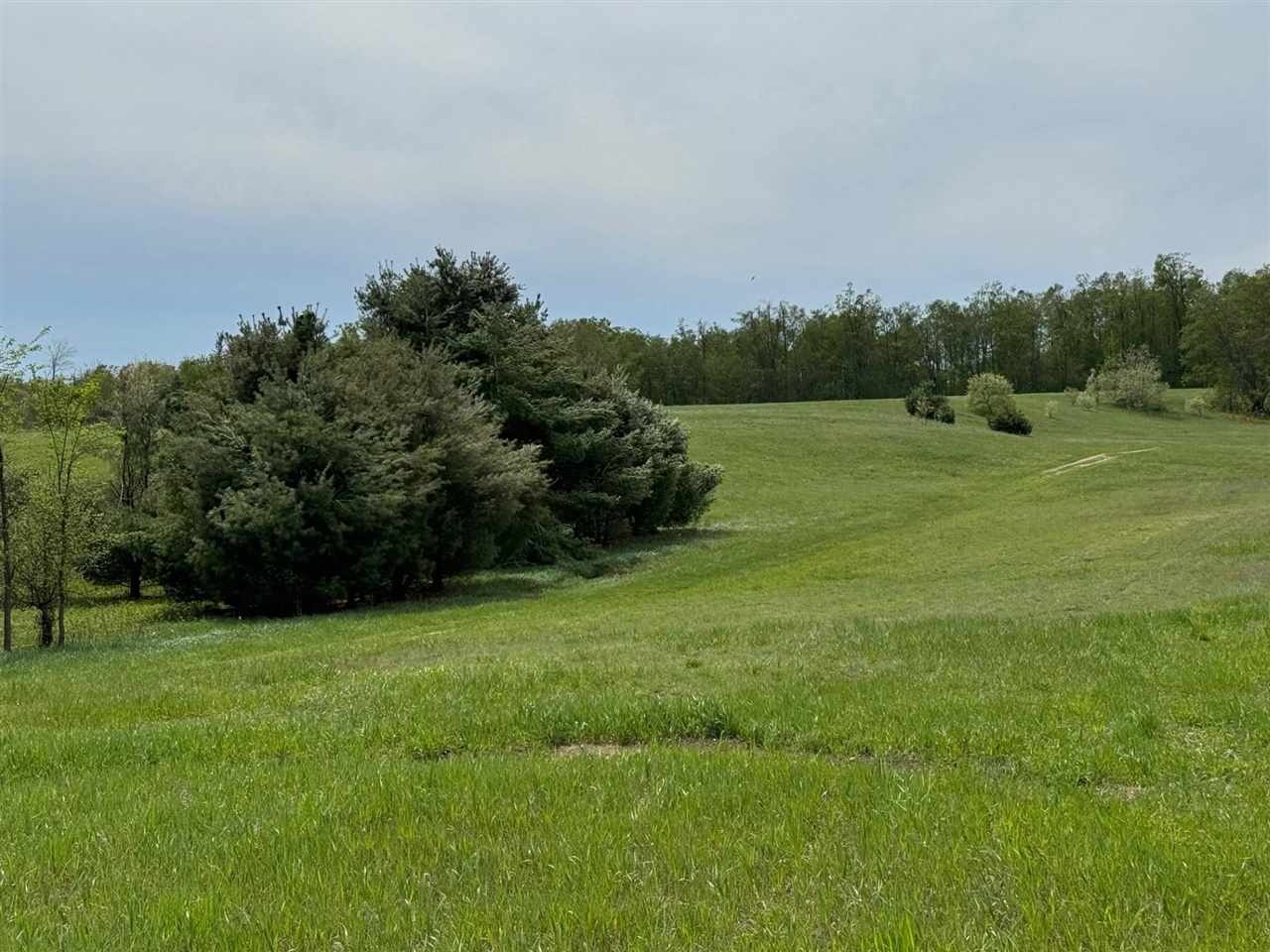 Tbd Nichols Road Pellston MI 49769