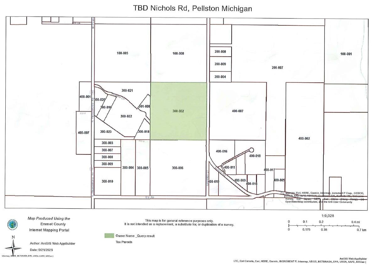 Tbd Nichols Road Pellston MI 49769