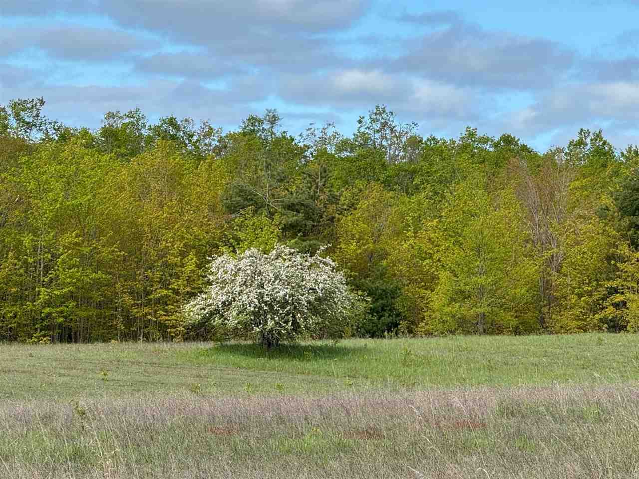 Tbd Nichols Road Pellston MI 49769