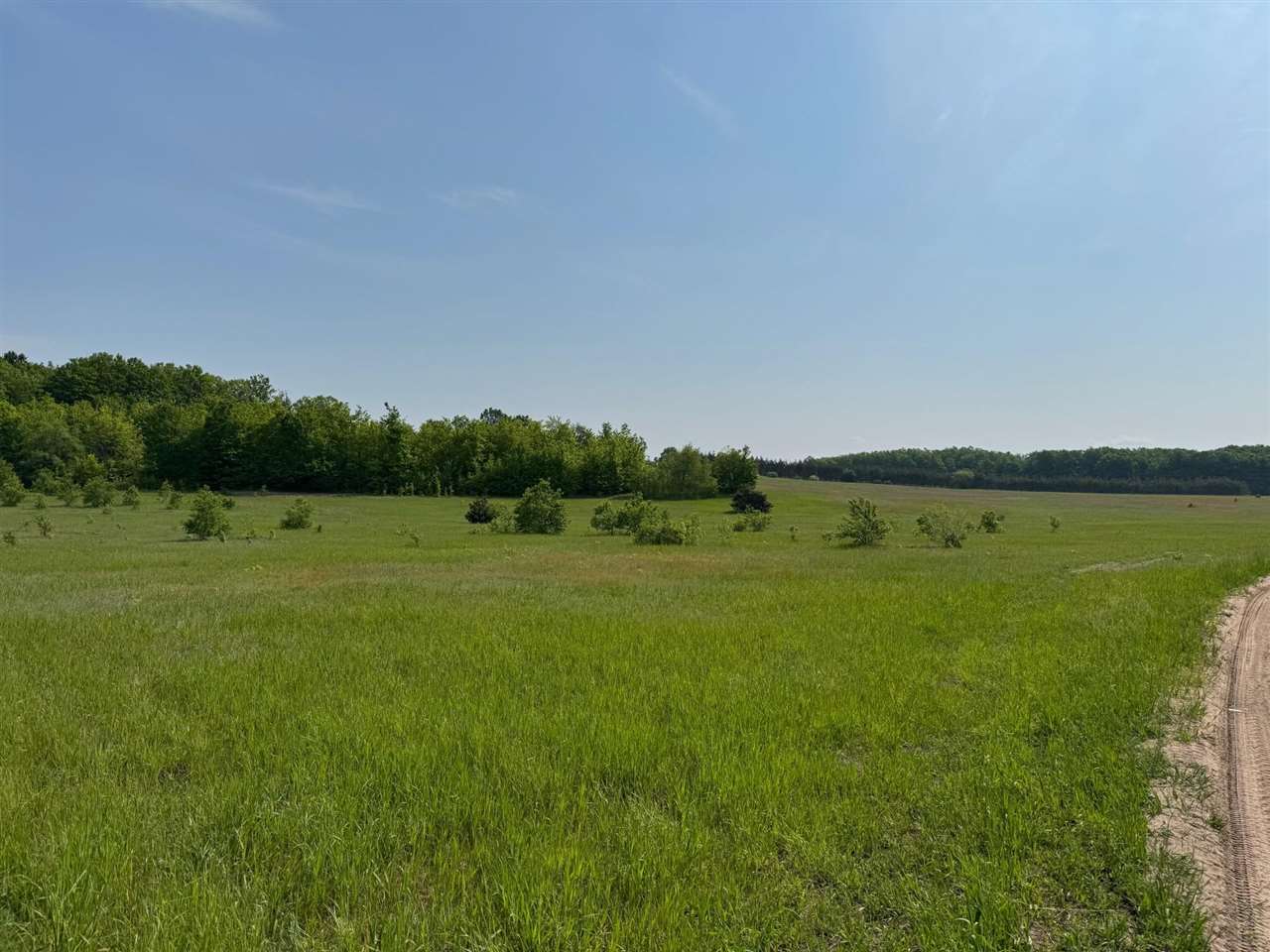 Tbd Nichols Road Pellston MI 49769