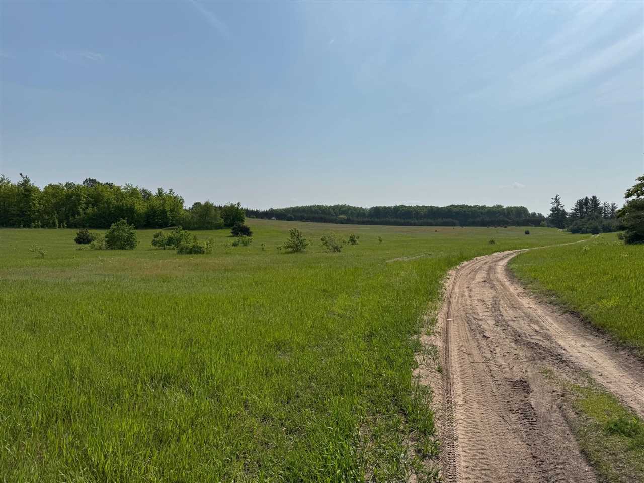 Tbd Nichols Road Pellston MI 49769