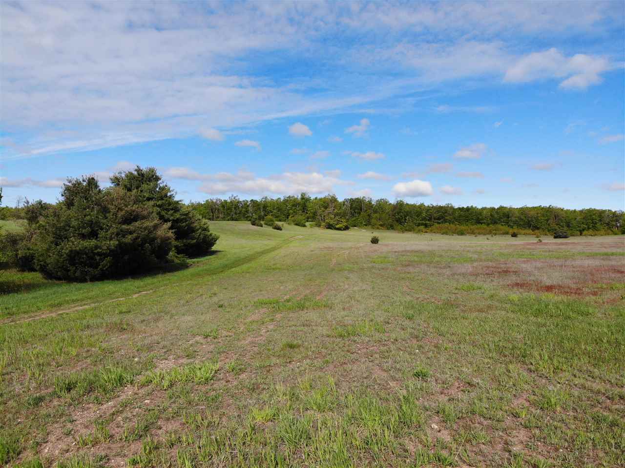 Tbd Nichols Road Pellston MI 49769