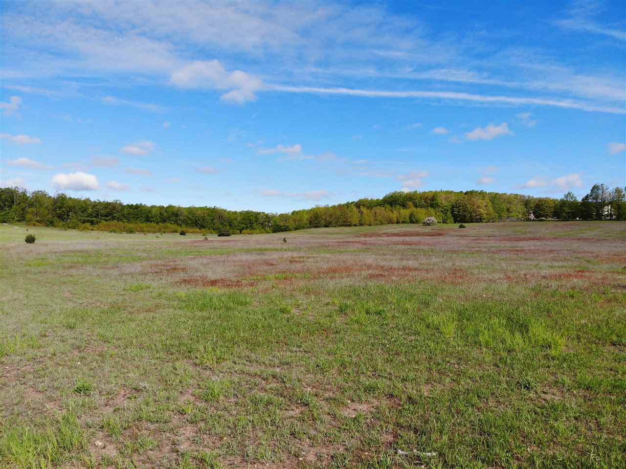 Tbd Nichols Road Pellston MI 49769