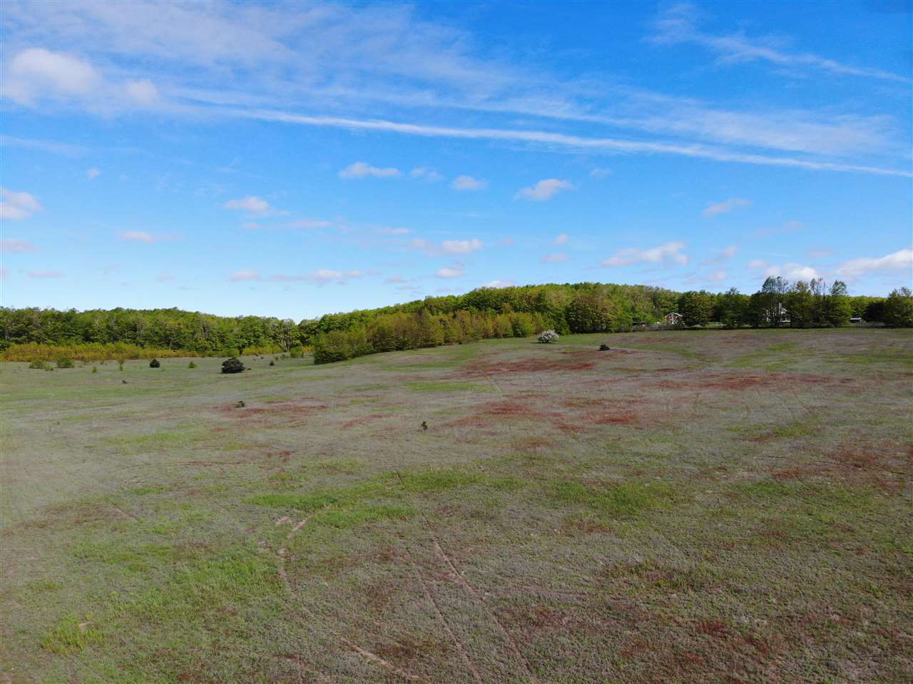 Tbd Nichols Road Pellston MI 49769