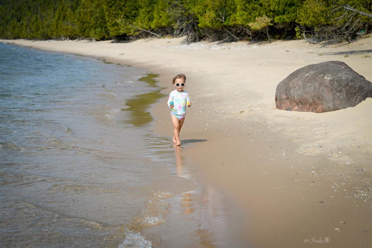 3929 Topside Drive Harbor Springs MI 49740