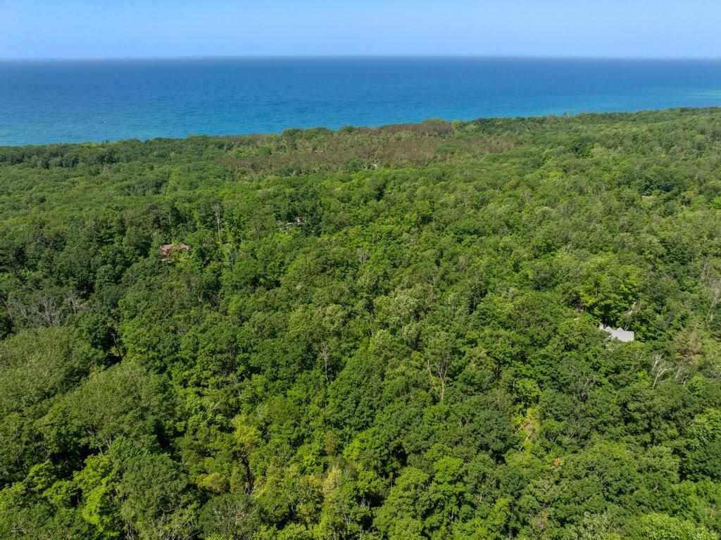 3929 Topside Drive Harbor Springs MI 49740