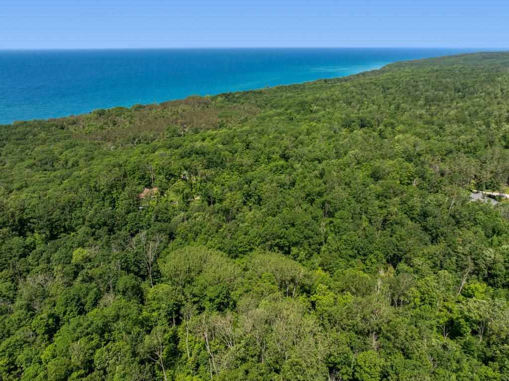 3929 Topside Drive Harbor Springs MI 49740