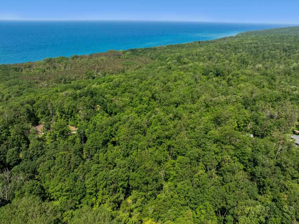 3929 Topside Drive Harbor Springs MI 49740