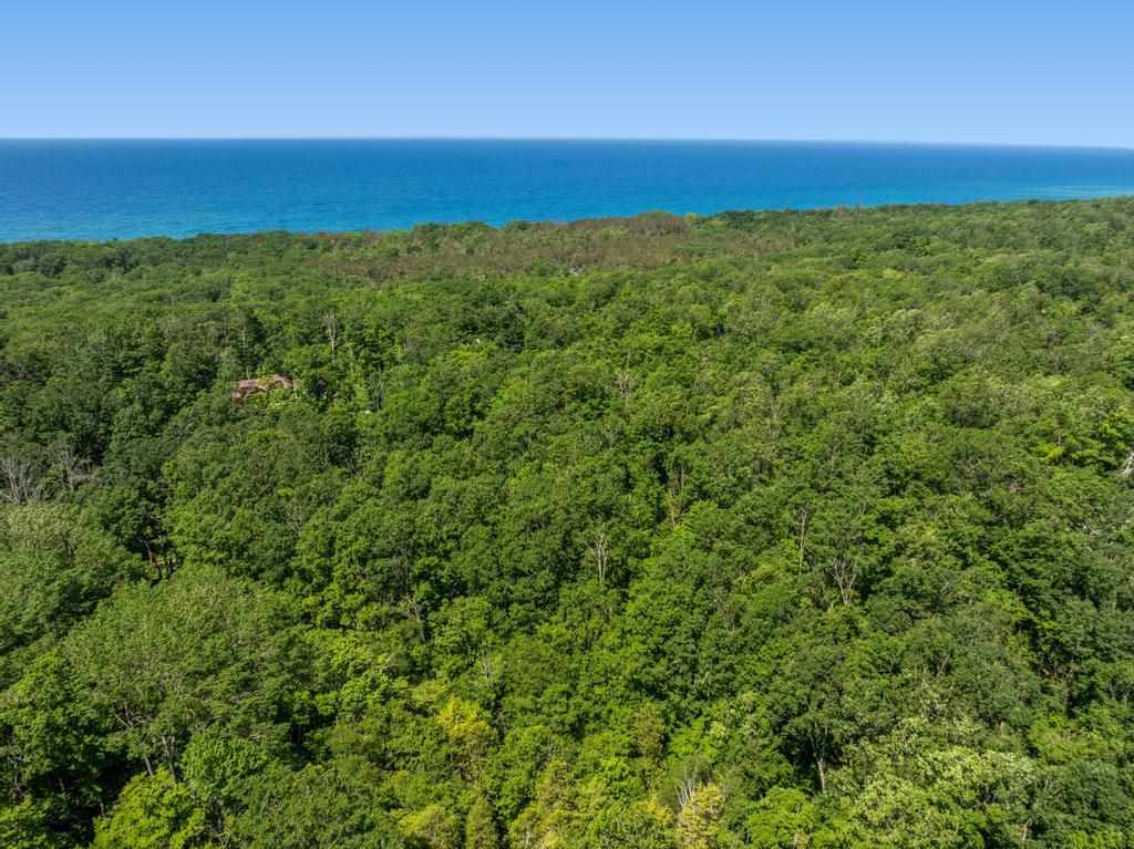 3929 Topside Drive Harbor Springs MI 49740