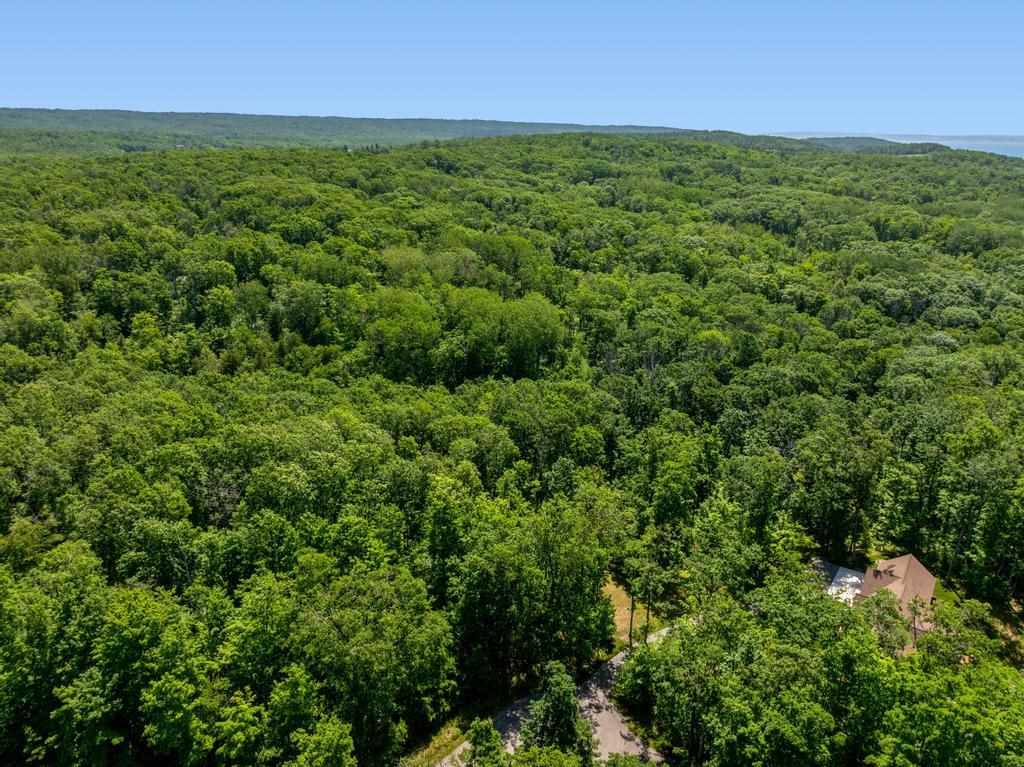 3929 Topside Drive Harbor Springs MI 49740