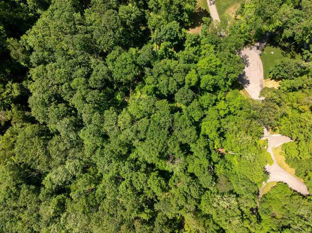 3929 Topside Drive Harbor Springs MI 49740