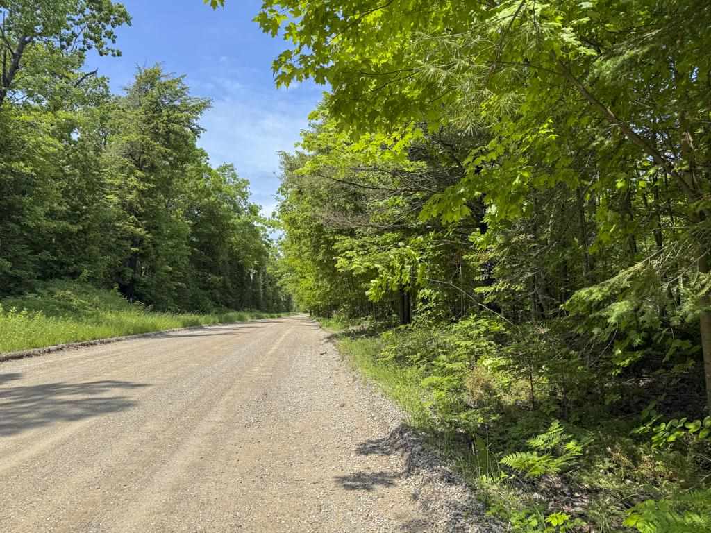 Tbd East Side Drive, Lot 3 Beaver Island MI 49782