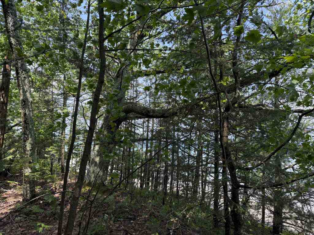 Tbd East Side Drive, Lot 3 Beaver Island MI 49782