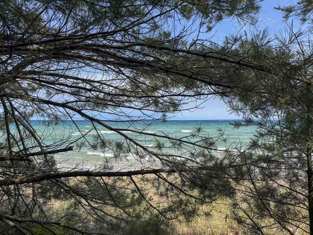 Tbd East Side Drive, Lot 3 Beaver Island MI 49782