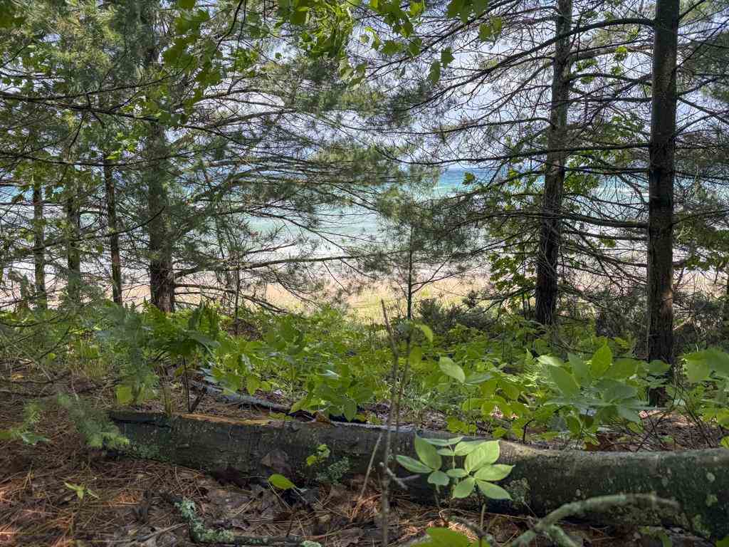 Tbd East Side Drive, Lot 3 Beaver Island MI 49782