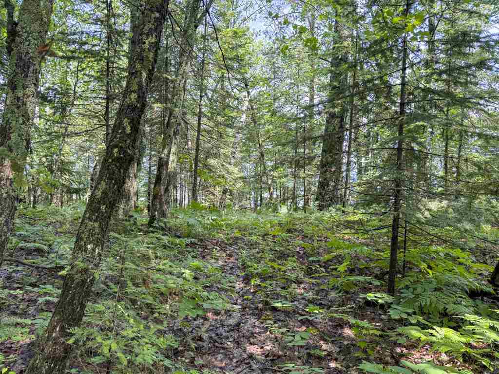Tbd East Side Drive, Lot 3 Beaver Island MI 49782
