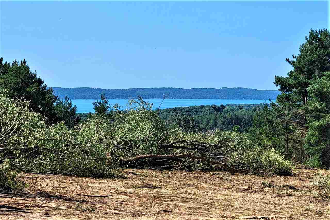 Parcel C Cemetery Road Alden MI 49612