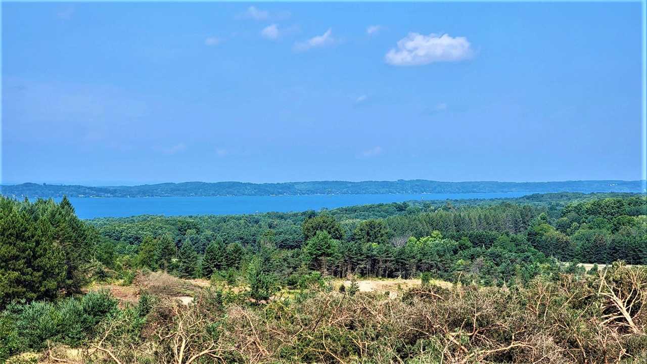 Parcel C Cemetery Road Alden MI 49612