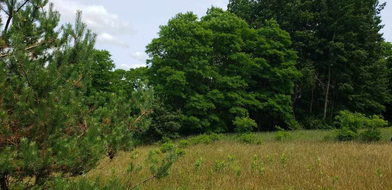 Parcel C Cemetery Road Alden MI 49612