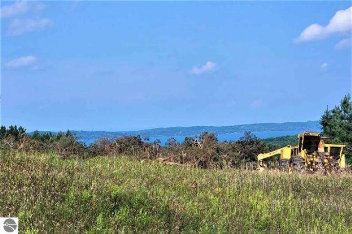 Parcel C Cemetery Road Alden MI 49612
