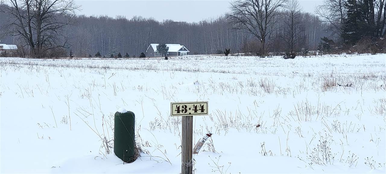 Unit 44 Alden Meadows Drive Alden MI 49612