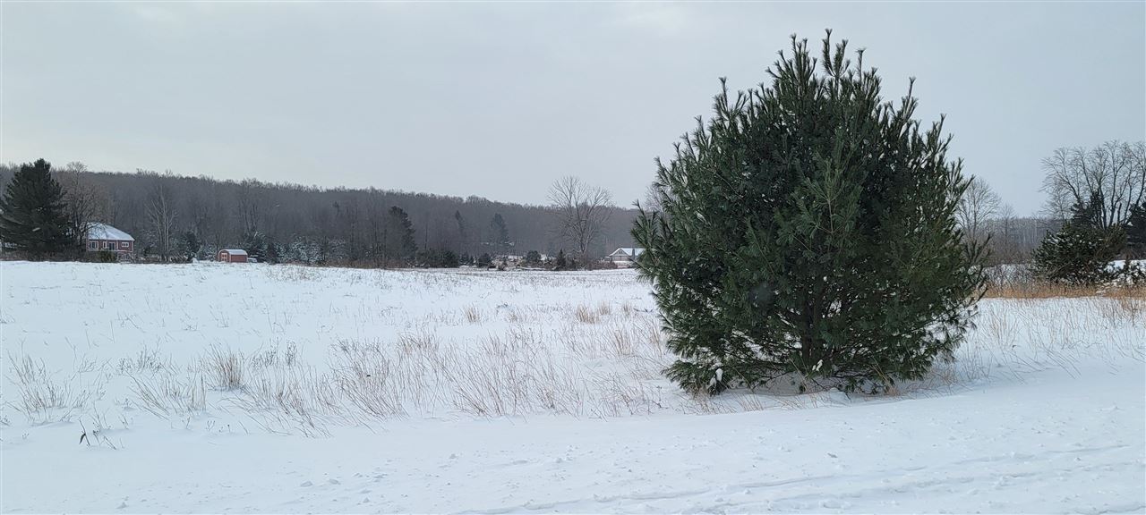 Unit 44 Alden Meadows Drive Alden MI 49612