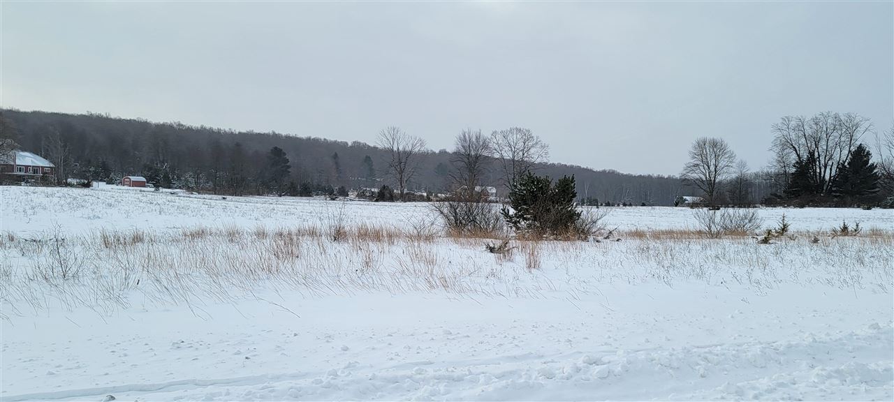 Unit 44 Alden Meadows Drive Alden MI 49612